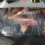 Bag of Lionfish caught off of Scubatyme III